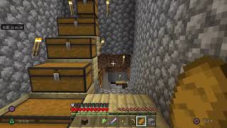 #6 初のエンドシティ目指すマイクラ雑談　stay home