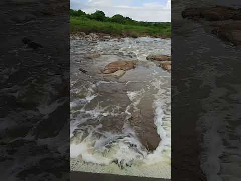 Açude calabouço transbordando (sangrando). #agua #chuvas #açude #barragem #rio #natureza #nordeste