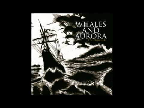 Whales And Aurora - A New Awareness