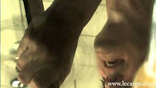 #317 The Leisure Society - You could keep me talking