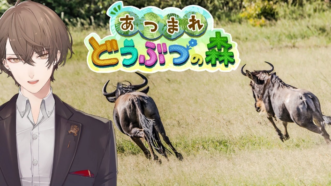 【あつまれどうぶつの森】シリーズ初挑戦!本気の初見でお邪魔します!【にじさんじ/加賀美ハヤト】