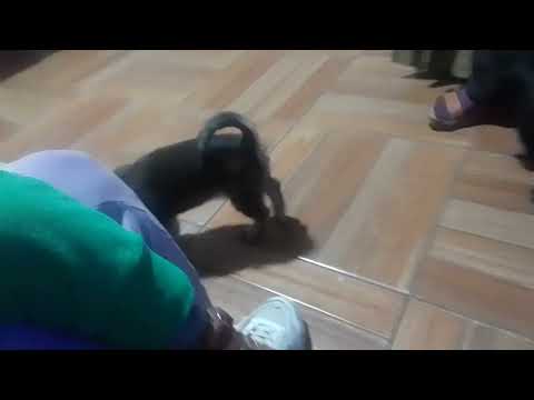 14 de septiembre de 2023