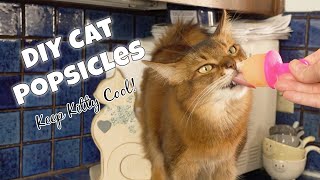 DIY Cat Popsicle Treats Help Your Cat Beat the Heat - Recipe to Make Them