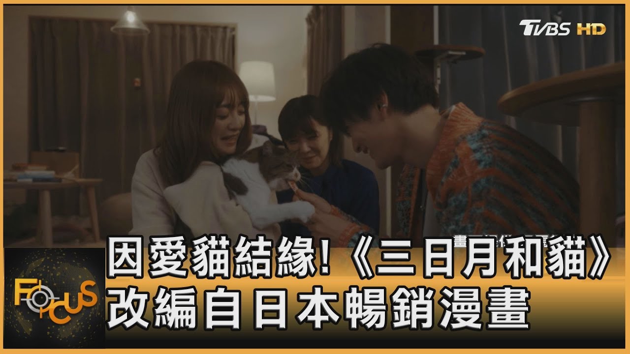 因愛貓結緣! 《三日月和貓》改編自日本暢銷漫畫