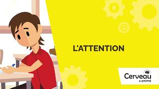 Attention - Animated BRAIN - Adolescents