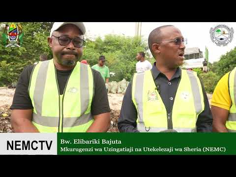 NEMC, WILAYA YA ILALA NA WADAU WA MAZINGIRA WASAFISHA FUKWE YA DARAJA LA SALENDA