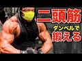 【腕トレ】上腕二頭筋を大きくする筋トレ!