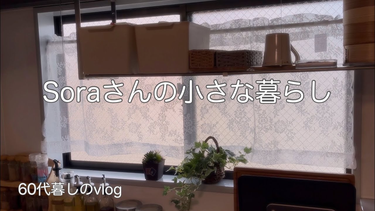 《ひとりと3匹の気ままな暮らし》引っ越ししてひと月/クーと姫の距離感/久しぶりの図書館/過ぎゆく時間　　#ひとり暮らし  #暮らしvlog 