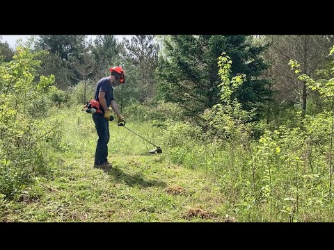 Using my Echo Trimmer Brushcutter SRM-225 to Landscape