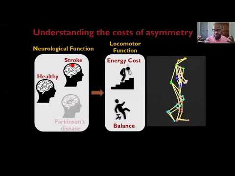 MLMC 2020 Day 2 (Thursday 11/12/2020) - Advances in Motor Learning and Motor Control