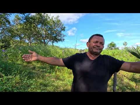 Sítio 22,6 ha no Sul do Piauí | Represa + Próx. BR-135 | Oportunidade R$ 350 Mil