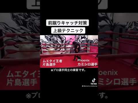 前蹴りをキャッチされた場合のカウンター【上級テクニック】ムエタイ王者片島聡志選手・Phoenixカミシロ選手