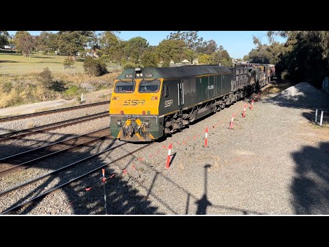SSR RL306, 1201, 48s35 & BRM002 with empty grain, East Maitland - 23/6/22