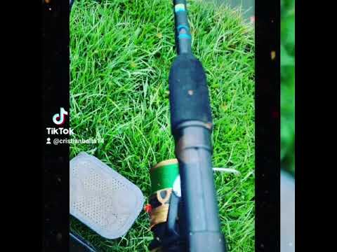 o prezentare scurta feeder fishing.