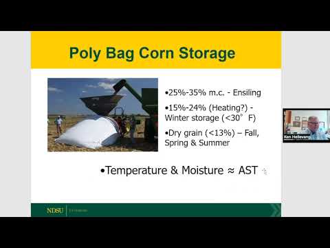 Webinar de fim da estação de cultivo nº 3 - Secagem e armazenamento de grãos e segurança agrícola.