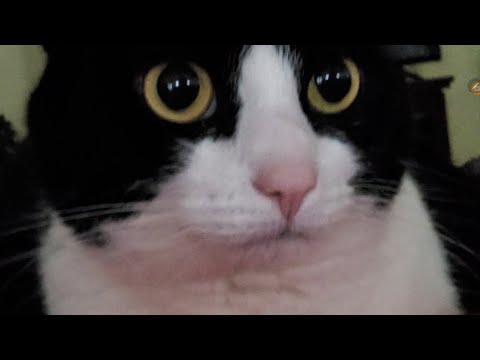 SpongeBob: lost something once!