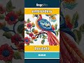 embroidery - bordado video thumbnail