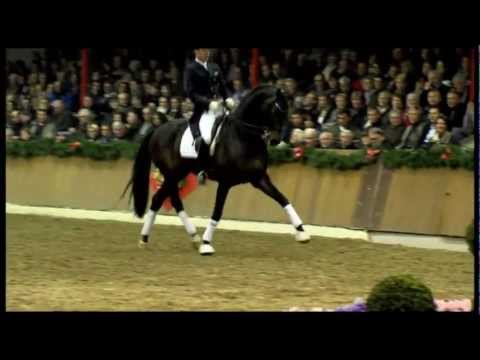 Rock Forever - Hengstschau Sosath (ohne Ton)