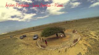 preview picture of video 'Vista Aérea da Árvore Penteada - Luiz Correia - Piauí'