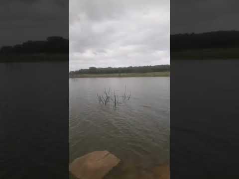 minha Varjota Ceará de mel #ceará