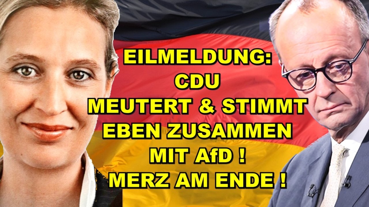 EIL: CDU MEUTERT & STIMMT EBEN MIT AfD!