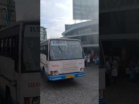 Kalpetta Stand TT #shotsfeed #shots #vehicles #bus #tamilnadu #karnataka #keralagram