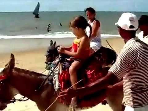 Donkey Riding on Beach