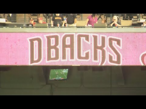 Fans excited for D-Backs playoff berth