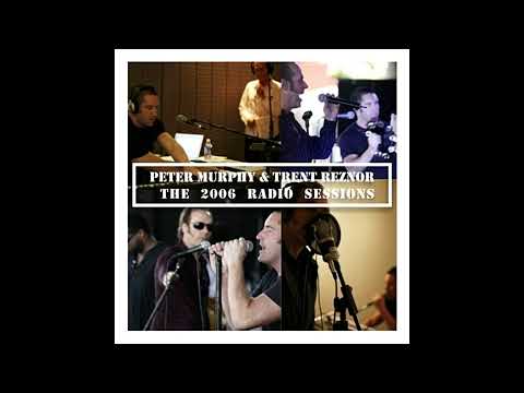 TRENT REZNOR (NIN) & Peter Murphy (2006) Radio Sessions [FM audio]