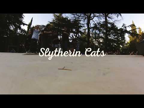Slytherin Cats Crew