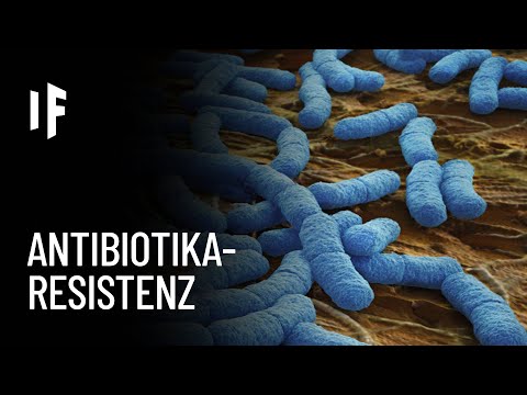 Was wäre, wenn alle Bakterien antibiotikaresistent würden?