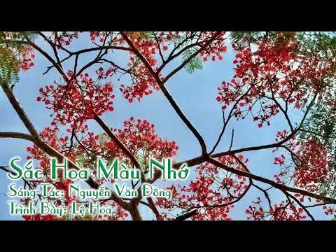Sắc Hoa Màu Nhớ - Lệ Hoa