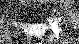 Sean Hayes in the big black hole 2005