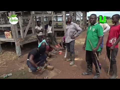 I FARM TO IMPACT MY CHURCH MEMBERS AND GHANAIAN SOCIETY - 2025 NATIONAL BEST FARMER