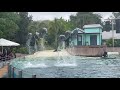 SeaWorld Orlando Dolphin Adventures Show 4K UHD 11 06 21
