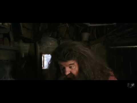 Harry Potter and The Chamber of Secrets | Hagrid comforts Hermione when Draco calls her a mudblood