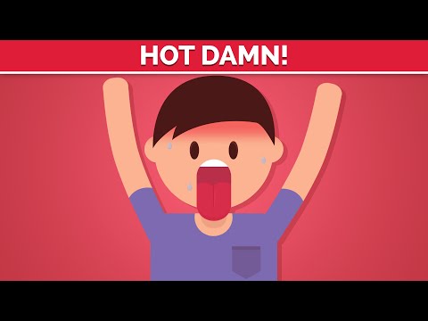 Why do SPICY foods burn our mouth?