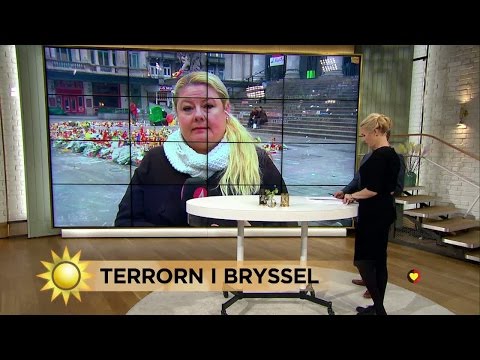 Direktrapport från Bryssel - Nyhetsmorgon (TV4)