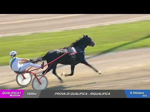Ippodromo Ghirlandina - 08/10/2022 - Qualifica 1