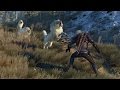 The Witcher 3's Open World VS. Skyrim's - IGN ...