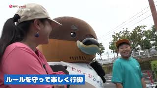 2025/11/25放送・知ったかぶりカイツブリにゅーす