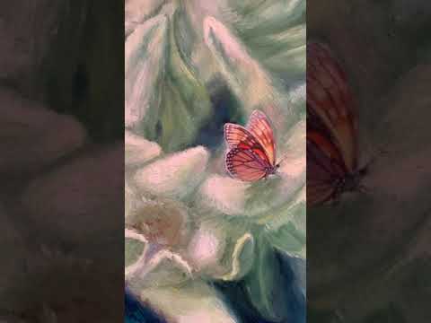 Edelweiss 50/50 cm oil, canvas