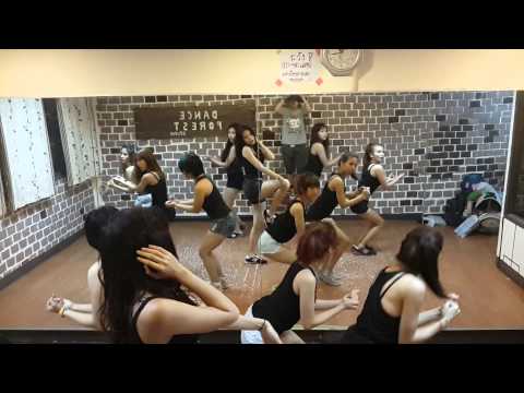 140307 IRIS cover Nine Muses - Wild [Practice]