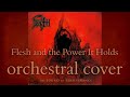 Death - Flesh and the Power it Holds (orchestral cover)