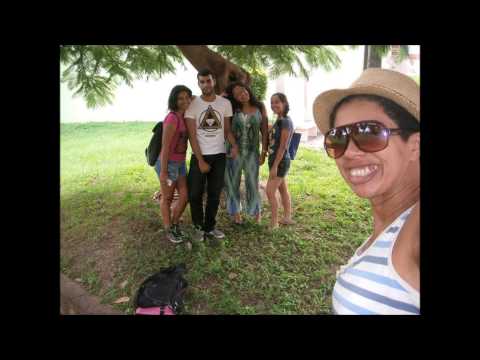 Biblioteconomia UFMA