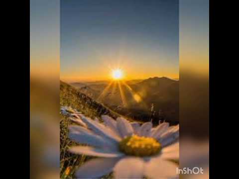 ...Տար մեզ Ավետյաց Երկիր ...(852)