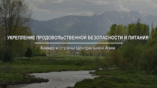 Укрепление продовольственной безопасности и питания на Кавказе и в Центральной Азии