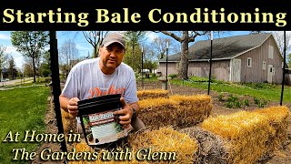Starting Bale Conditioning ~ Straw Bale Garden –At Home in The Gardens