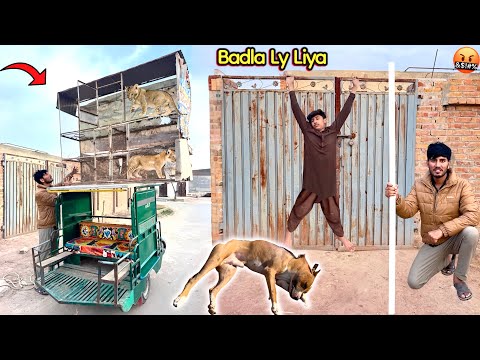 SURPRISED😍PET HOUSE MAIN BHRA SHAHKAR HAS COME 😱