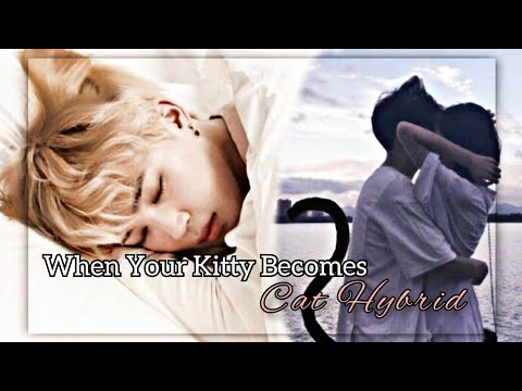 [BTS JIMIN FF] When Your Kitty Becomes Cat Hybrid | OneShot 1/2